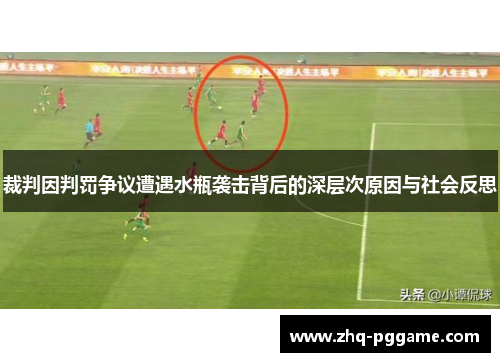 裁判因判罚争议遭遇水瓶袭击背后的深层次原因与社会反思